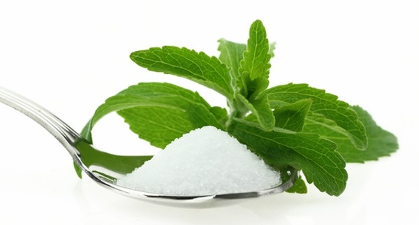 Stevia Powder