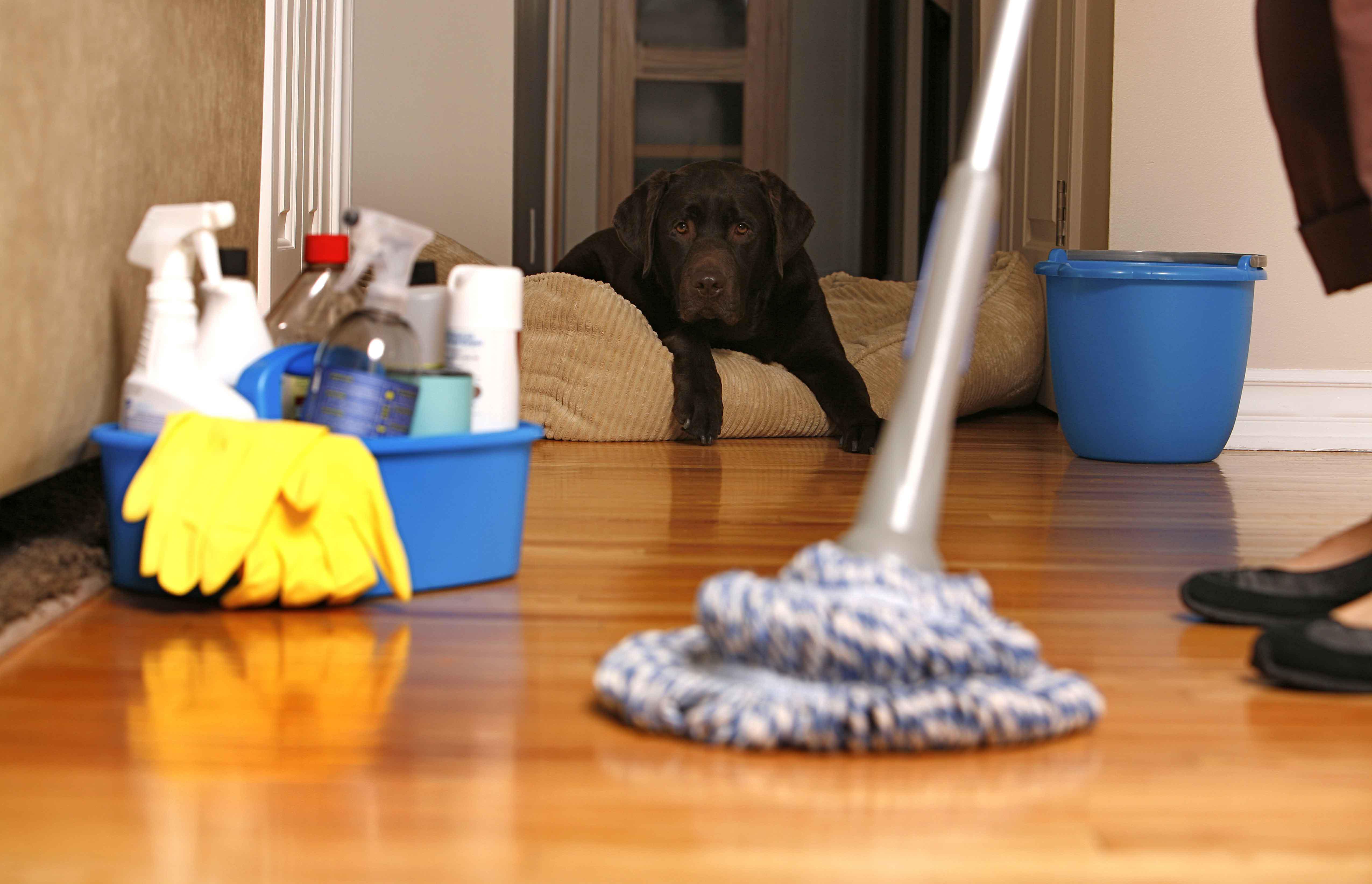 Tile Cleaning