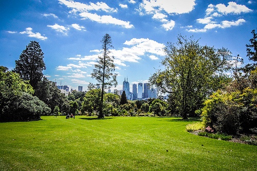 Melbourne Royal Botanic Gardens