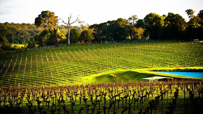 Margaret River Wine Region