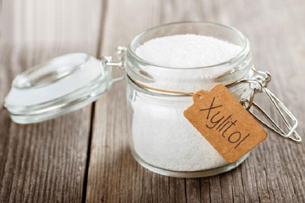 buy xylitol powder