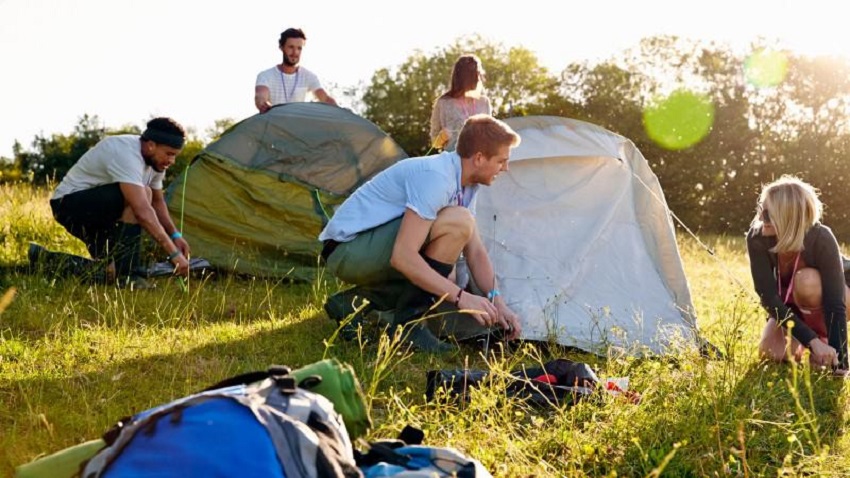 Tent Pegs