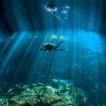 Embark on a Unique Underwater Adventure: Items of Scuba Gear That Shouldn’t Be Overlooked