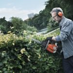 How to Cut Hedges Into Unique Shapes