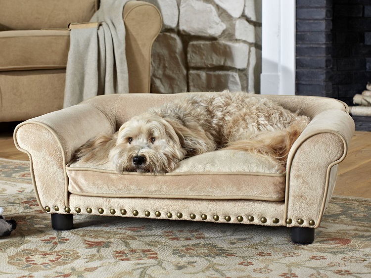 Dog Sofa Bed