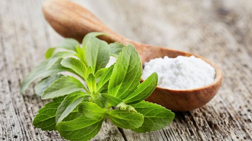 Stevia