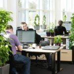 Office Gardens: Make the Most of Work and Gardening