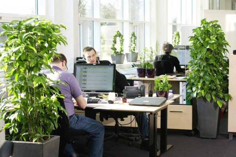 Office Gardens: Make the Most of Work and Gardening