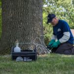 Tree Disease Control: Certified Arborists Know Best