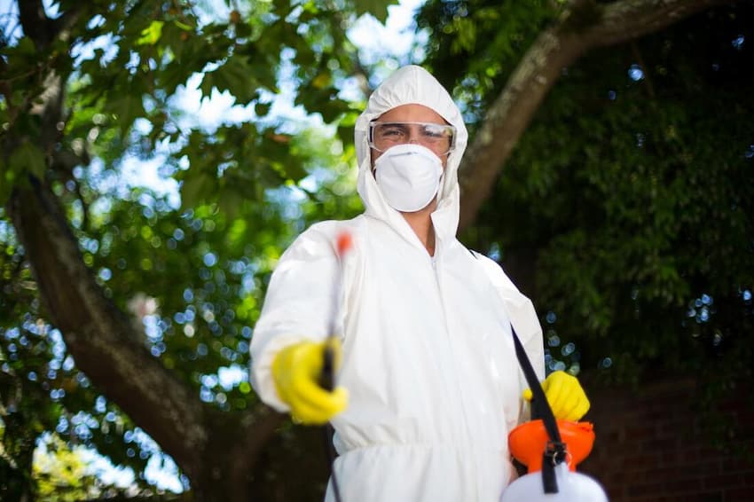 tree service pros insect disease control