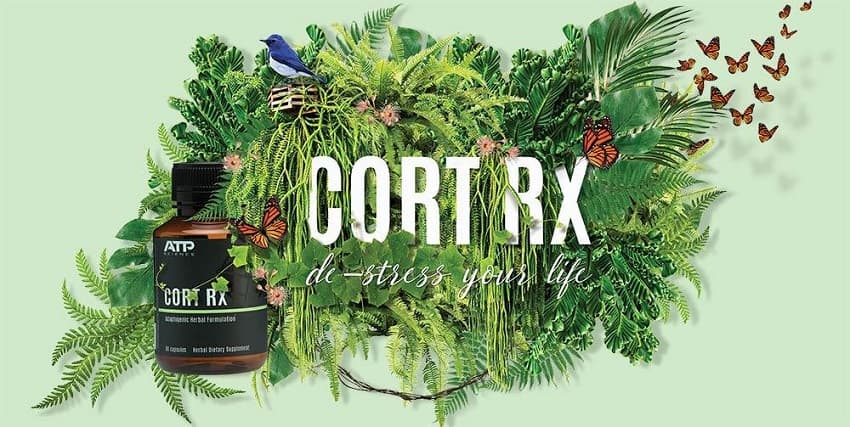 ATP Science Cort RX