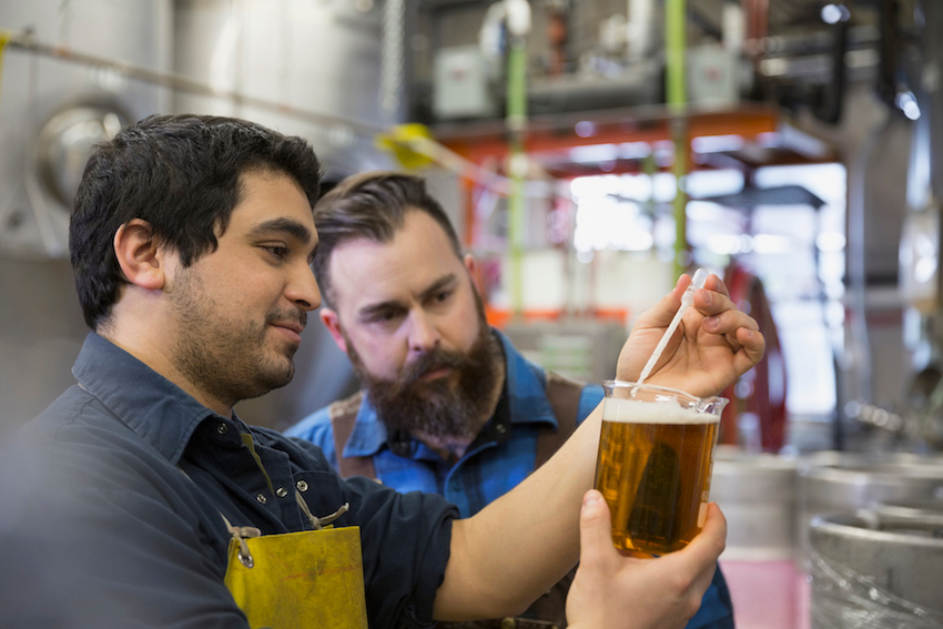 testing the homemade beer