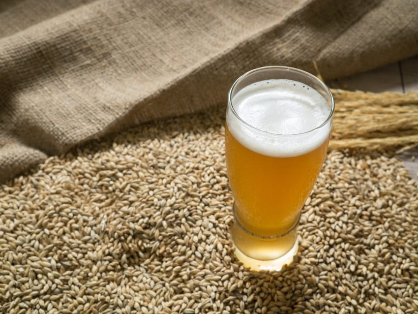 yeast based beer