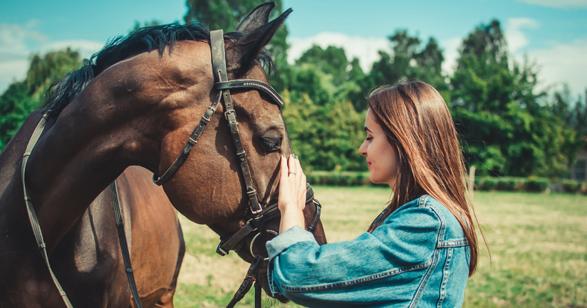 young girl caresses her horse