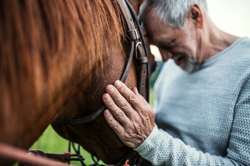 old man holding a horse