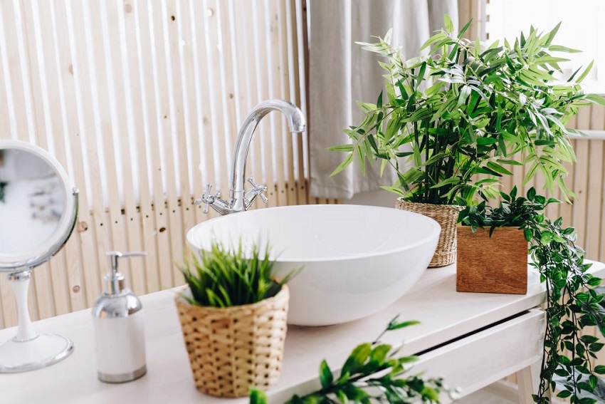 plants in bathroom next to sink 