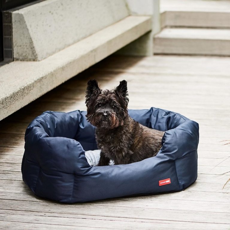 How to Find the Best Dog Bedding for Your Four-Legged Friend
