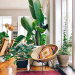 Ways to Add a Tropical Vibe to Your Home