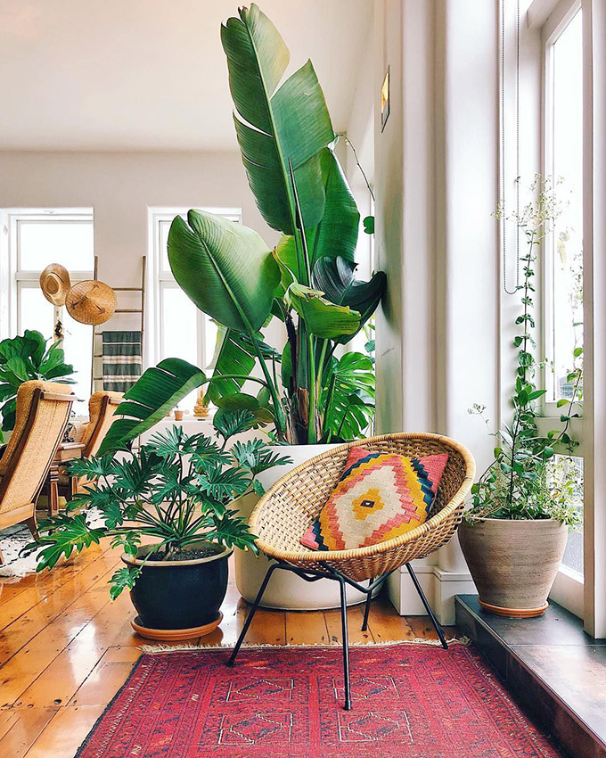 tropical style in living room