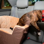 Boost Road Safety with a Booster Seat for Your Dog