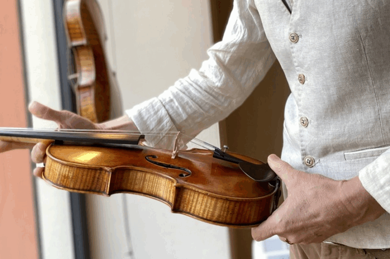 A Buying Guide to Beginner Violins