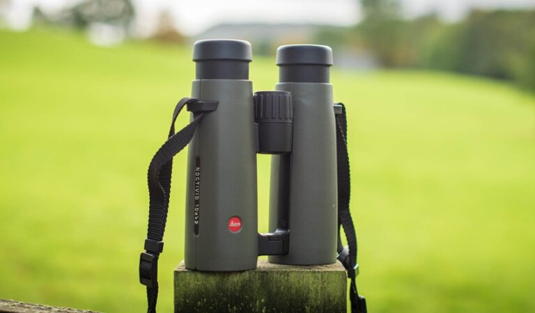 Clarity in Every Light: Understanding the 10×42 Advantage