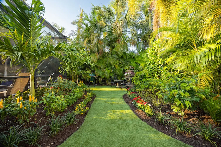 backyard-landscape